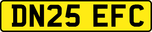 DN25EFC