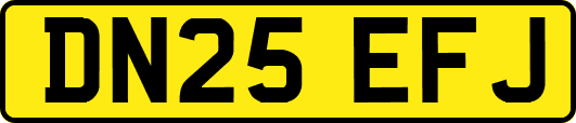 DN25EFJ