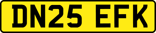 DN25EFK