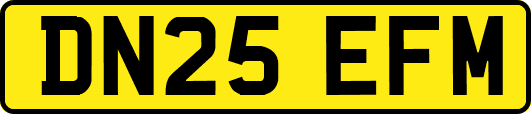 DN25EFM