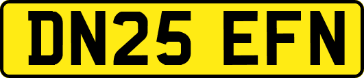 DN25EFN