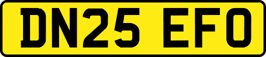 DN25EFO
