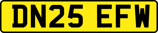 DN25EFW