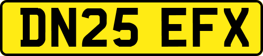 DN25EFX