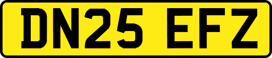 DN25EFZ