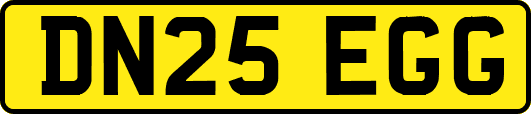DN25EGG