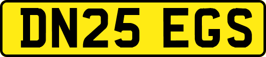 DN25EGS