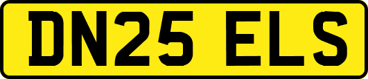 DN25ELS