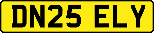 DN25ELY