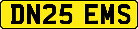 DN25EMS