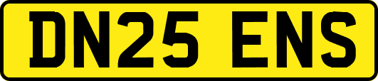 DN25ENS