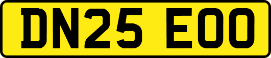 DN25EOO
