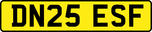 DN25ESF