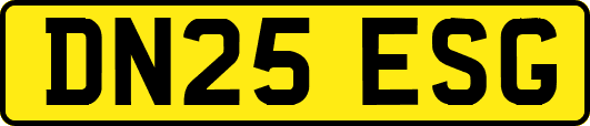 DN25ESG