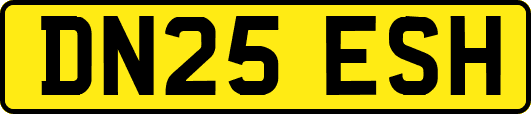 DN25ESH