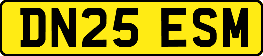 DN25ESM