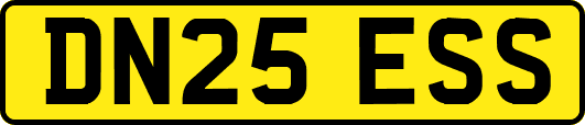 DN25ESS