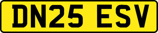 DN25ESV