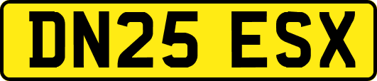 DN25ESX