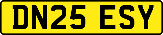 DN25ESY