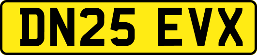 DN25EVX