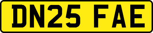 DN25FAE