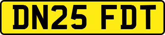 DN25FDT
