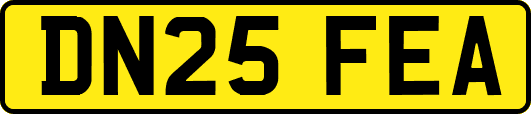 DN25FEA