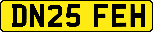 DN25FEH