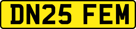 DN25FEM