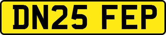 DN25FEP