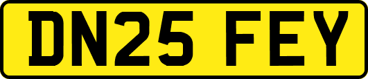 DN25FEY