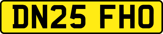DN25FHO