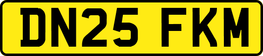 DN25FKM