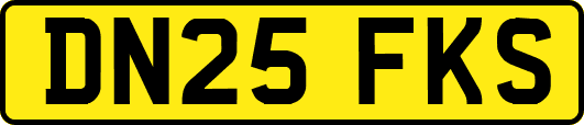 DN25FKS