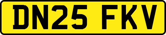 DN25FKV
