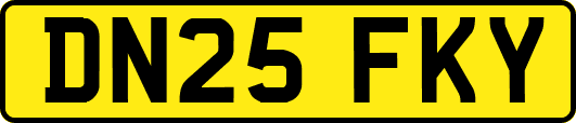 DN25FKY