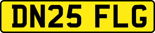 DN25FLG