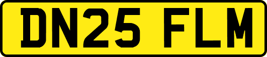 DN25FLM