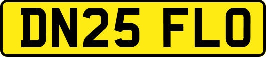 DN25FLO
