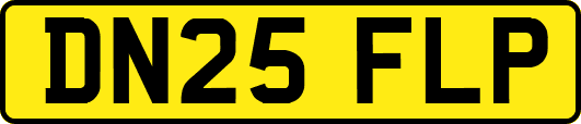 DN25FLP