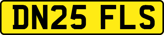 DN25FLS