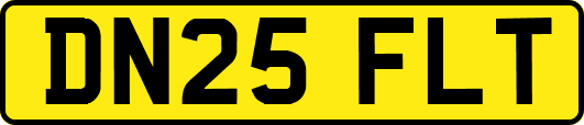 DN25FLT