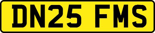 DN25FMS