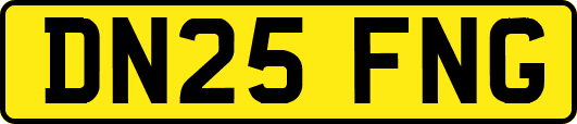 DN25FNG