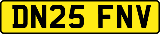 DN25FNV
