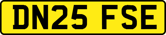 DN25FSE