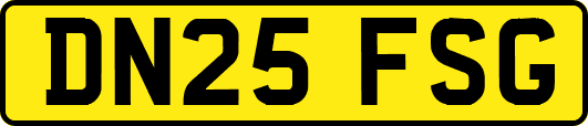 DN25FSG