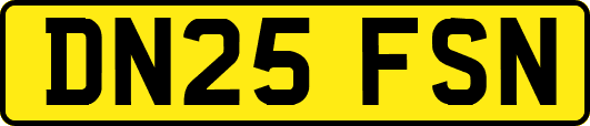 DN25FSN