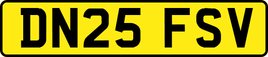 DN25FSV